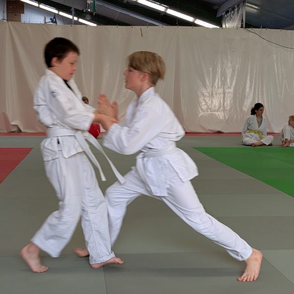 PXL_20250623_163319358.MP