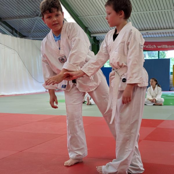 PXL_20250707_170031897.MP