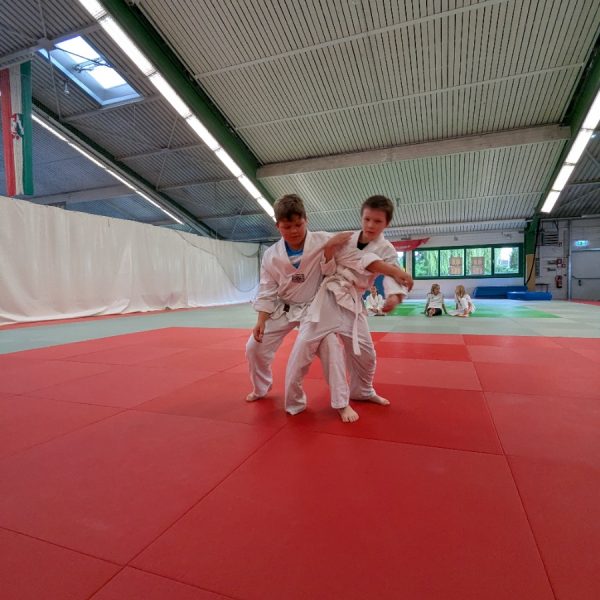 PXL_20250707_170112021.MP